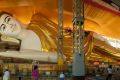 bago golden rock 6