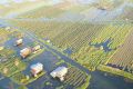 inle pindaya ballooning 1