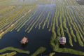 inle ballooning 4